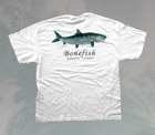 Fish T-Shirts